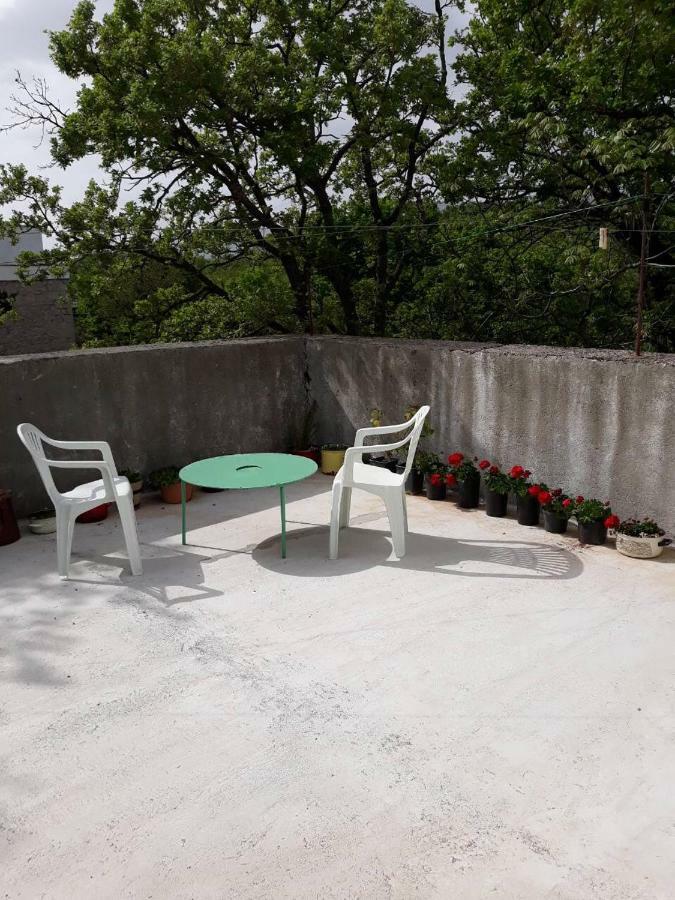 Apartman Milica Golubic  Buitenkant foto