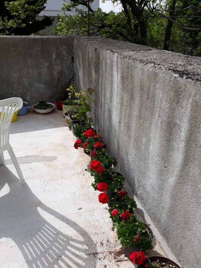 Apartman Milica Golubic  Buitenkant foto