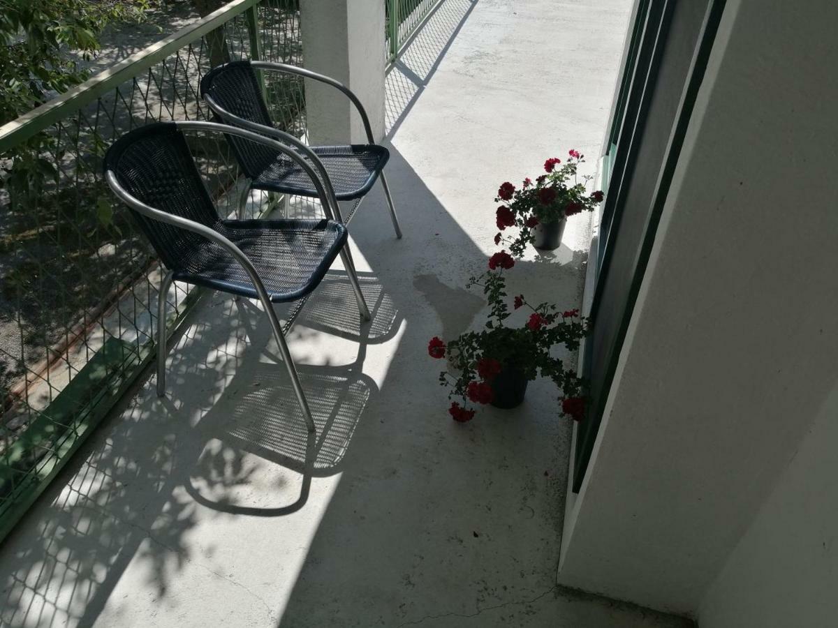 Apartman Milica Golubic  Buitenkant foto